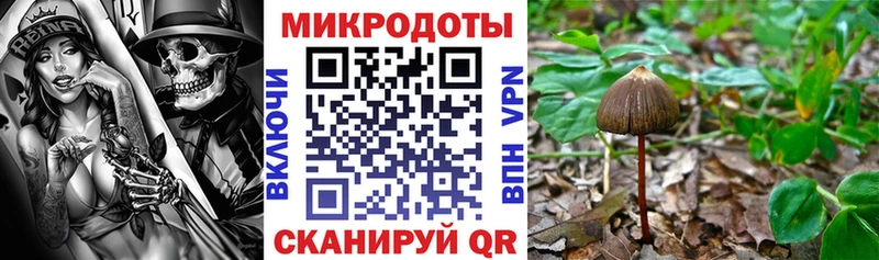 блэк спрут ТОР  Тетюши  Галлюциногенные грибы Psilocybe 
